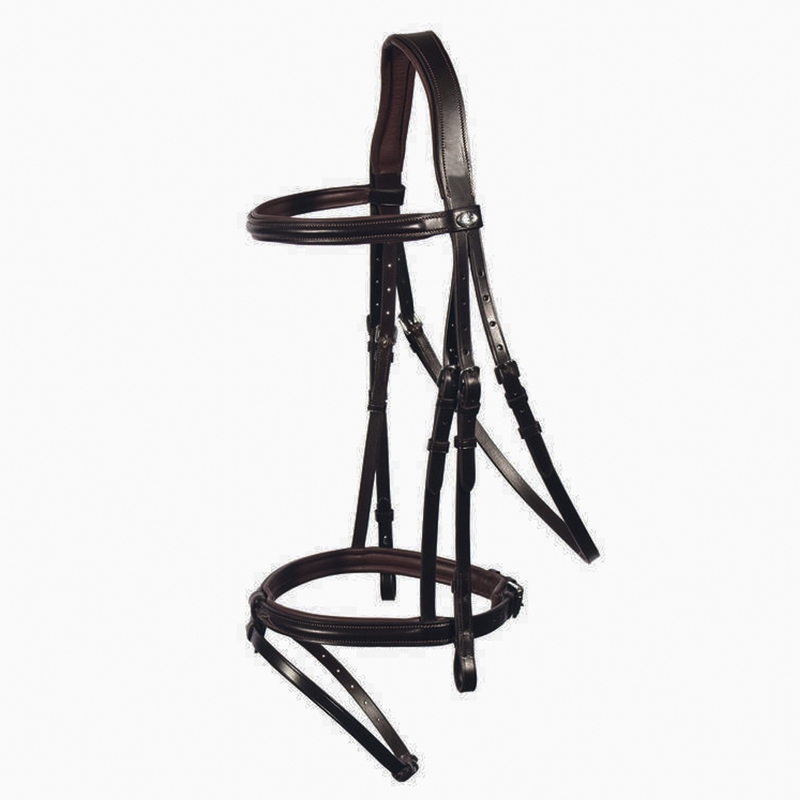 Leather Bridle