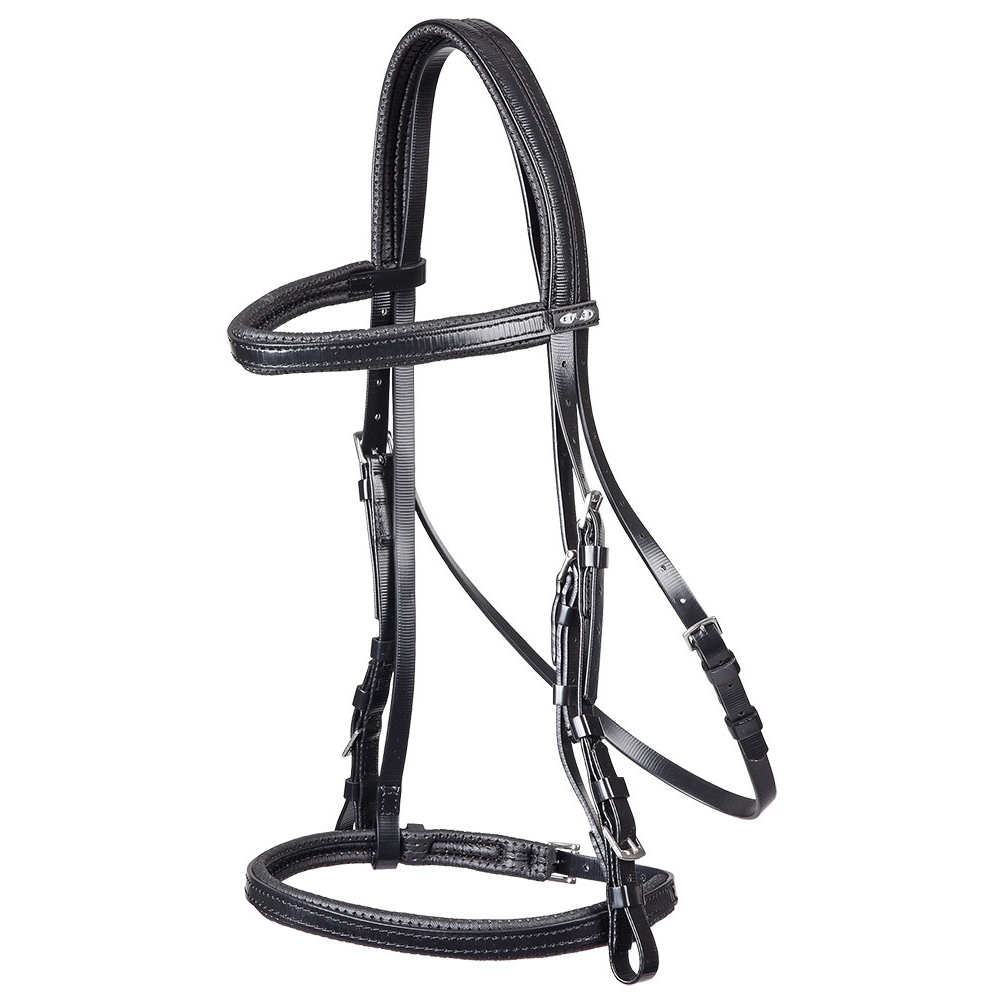 Horse Bridle