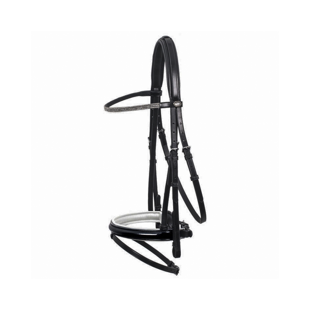 Leather Bridle