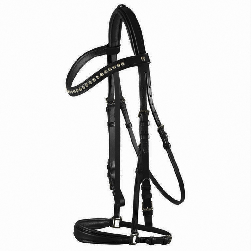 Leather Bridle