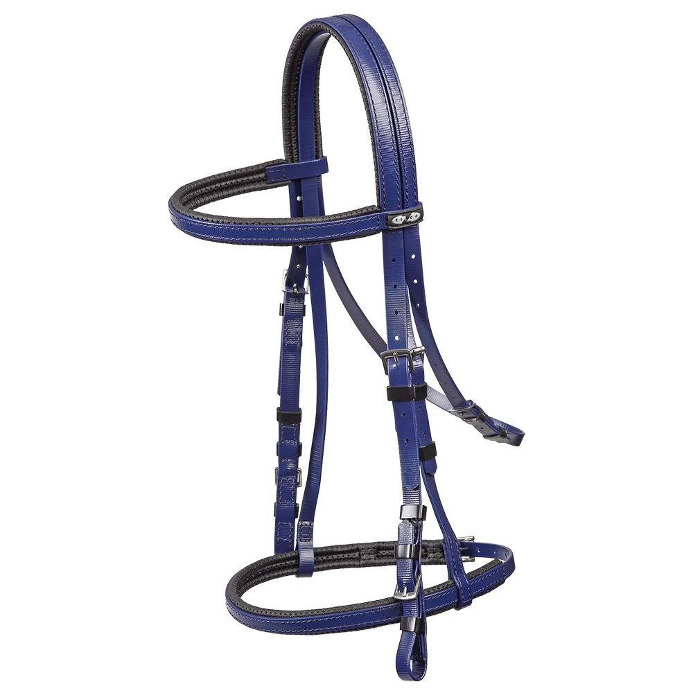 Horse Bridle