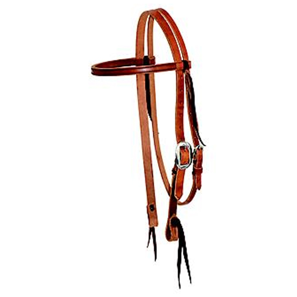 Horse Bridle