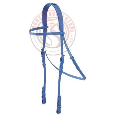 Horse Bridle