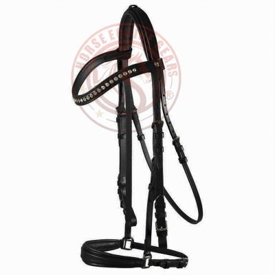 Leather Bridle