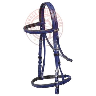 Horse Bridle